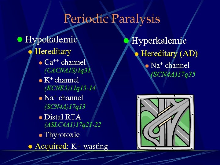 Periodic Paralysis l Hypokalemic l Hereditary l Ca++ channel (CACNA 1 S)1 q 31