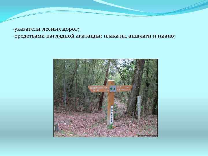 -указатели лесных дорог; -средствами наглядной агитации: плакаты, аншлаги и пиано; 