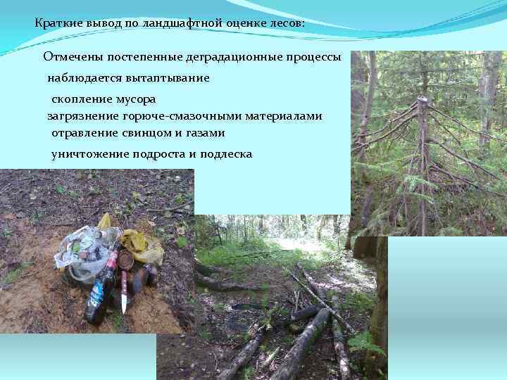 Краткие вывод по ландшафтной оценке лесов: Отмечены постепенные деградационные процессы наблюдается вытаптывание скопление мусора