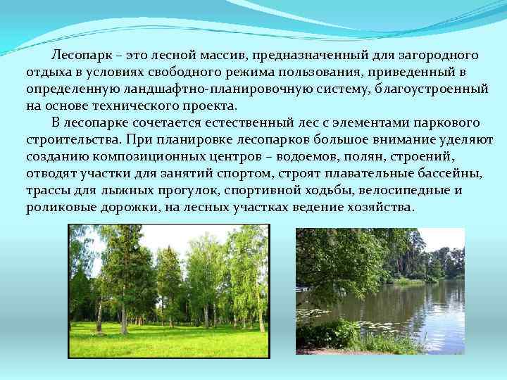 Лесопарк – это лесной массив, предназначенный для загородного отдыха в условиях свободного режима пользования,