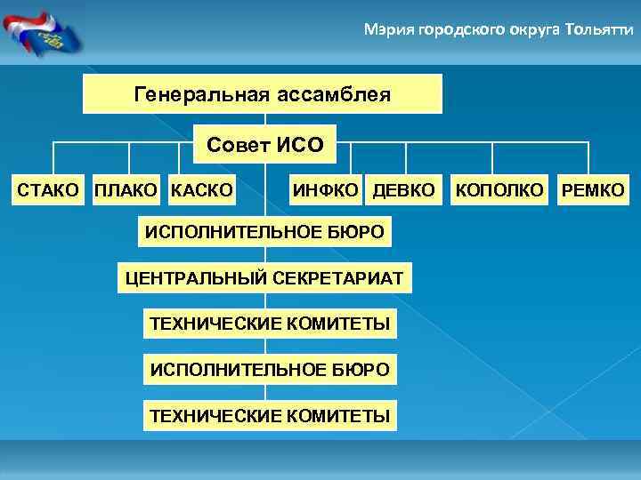 Мэрия городского округа Тольятти Генеральная ассамблея Совет ИСО СТАКО ПЛАКО КАСКО ИНФКО ДЕВКО ИСПОЛНИТЕЛЬНОЕ