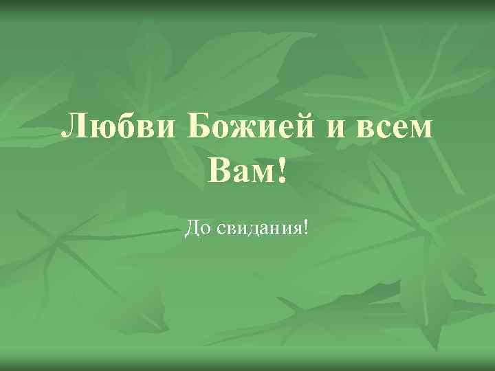 Любви Божией и всем Вам! До свидания! 