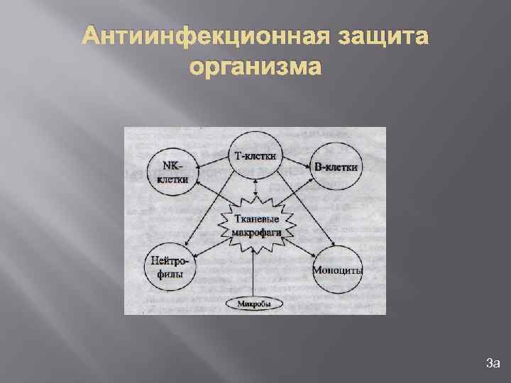 Антиинфекционная защита организма 3 а 