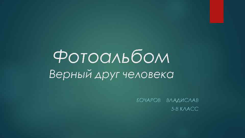 Фотоальбом Верный друг человека БОЧАРОВ ВЛАДИСЛАВ 5 -В КЛАСС 