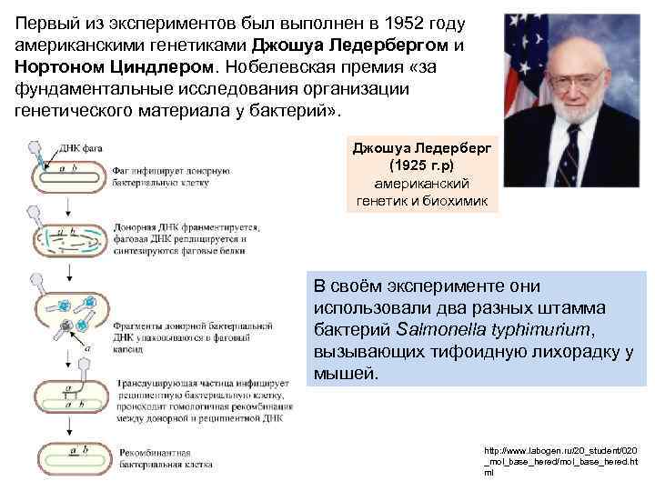 Первый из экспериментов был выполнен в 1952 году американскими генетиками Джошуа Ледербергом и Нортоном