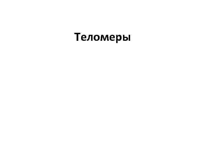 Теломеры 