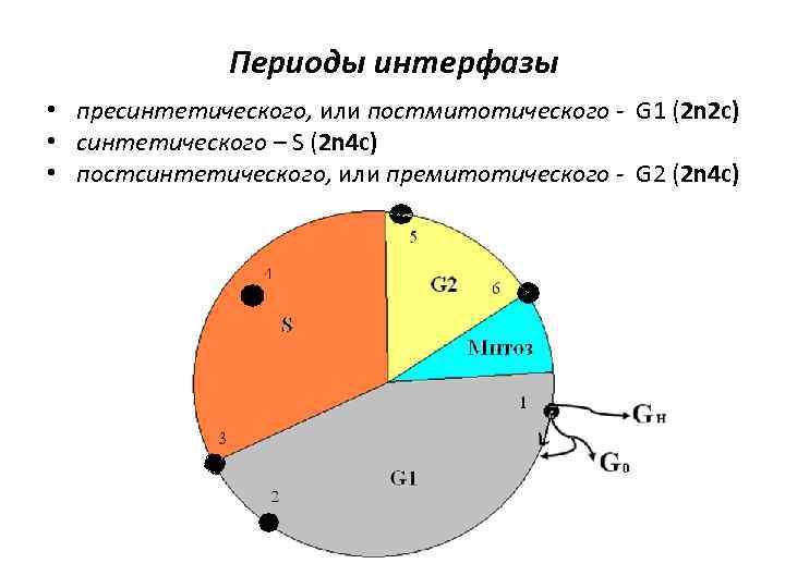 2 ядра по 3 ггц это нормально