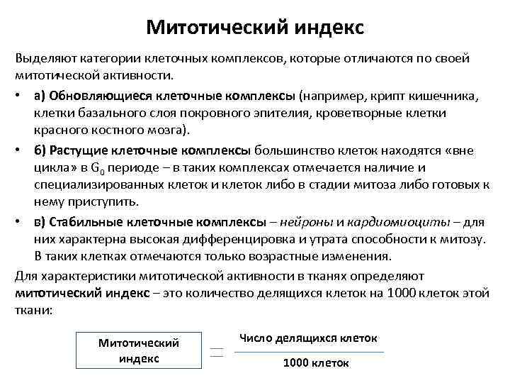 Митотический индекс Выделяют категории клеточных комплексов, которые отличаются по своей митотической активности. • а)