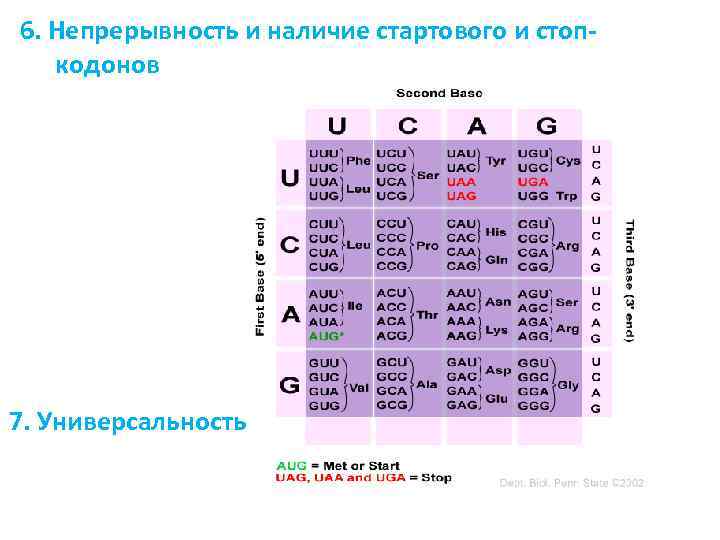 6. Непрерывность и наличие стартового и стопкодонов 7. Универсальность 