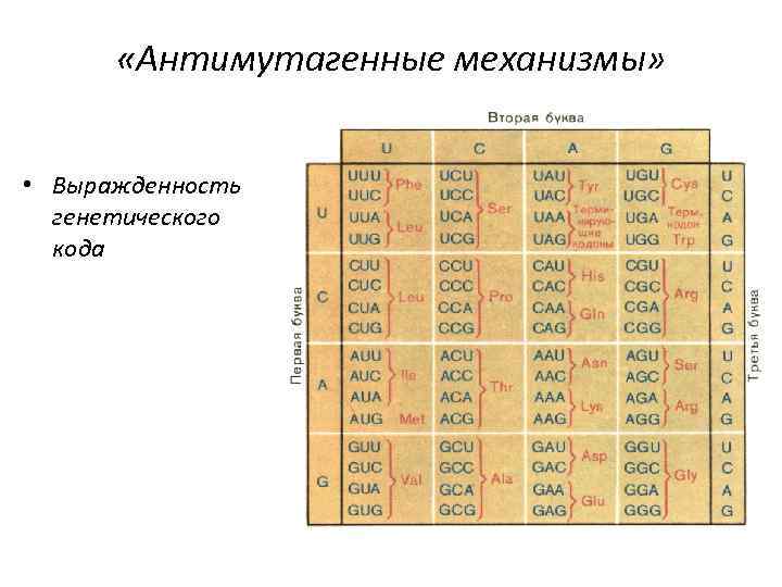 Изучив текст параграфа и проанализировав рисунки 38 42 дополните таблицу реализация наследственной