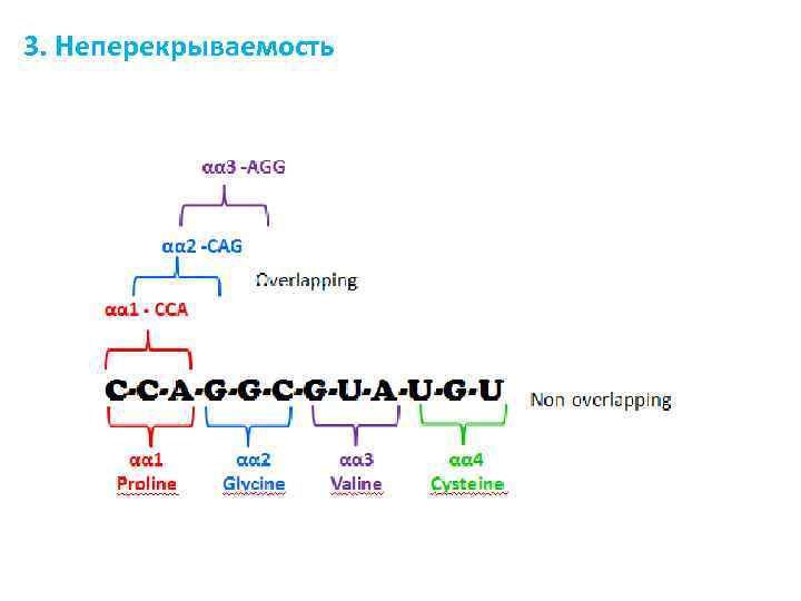 3. Неперекрываемость 