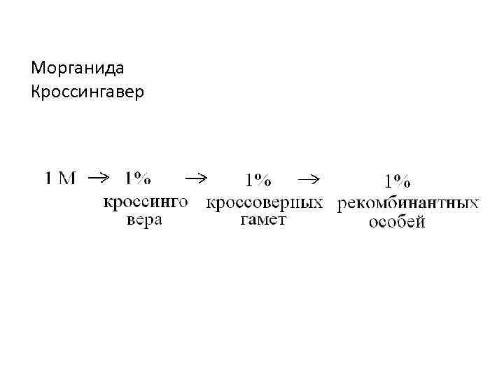 Морганида Кроссингавер 