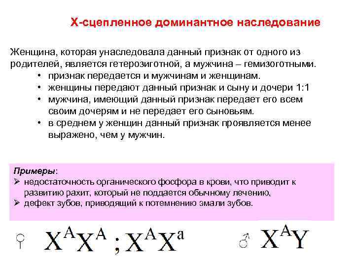 X сцепленное доминантное наследование Женщина, которая унаследовала данный признак от одного из родителей, является