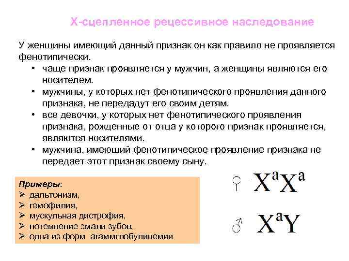 X сцепленное рецессивное наследование У женщины имеющий данный признак он как правило не проявляется