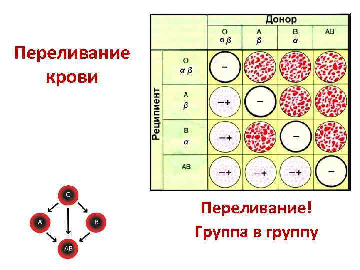 Переливание крови Переливание! Группа в группу 