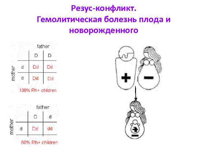 Резус-конфликт. Гемолитическая болезнь плода и новорожденного 