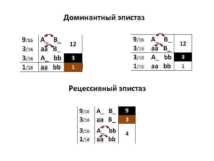 Доминантный эпистаз Рецессивный эпистаз 