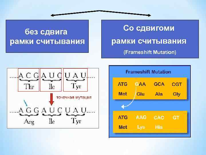 Рамка считывания