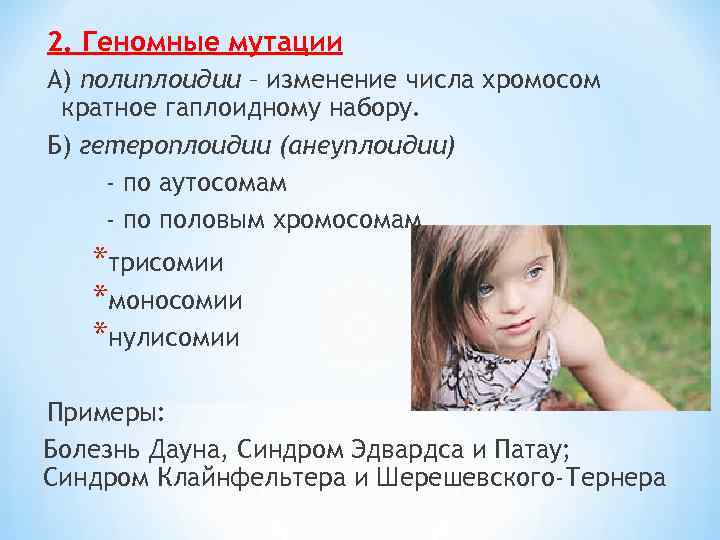 2. Геномные мутации А) полиплоидии – изменение числа хромосом кратное гаплоидному набору. Б) гетероплоидии