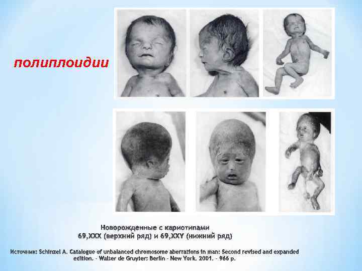 полиплоидии 