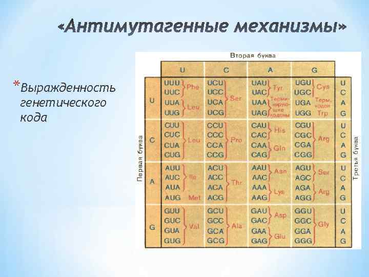 *Выражденность генетического кода 