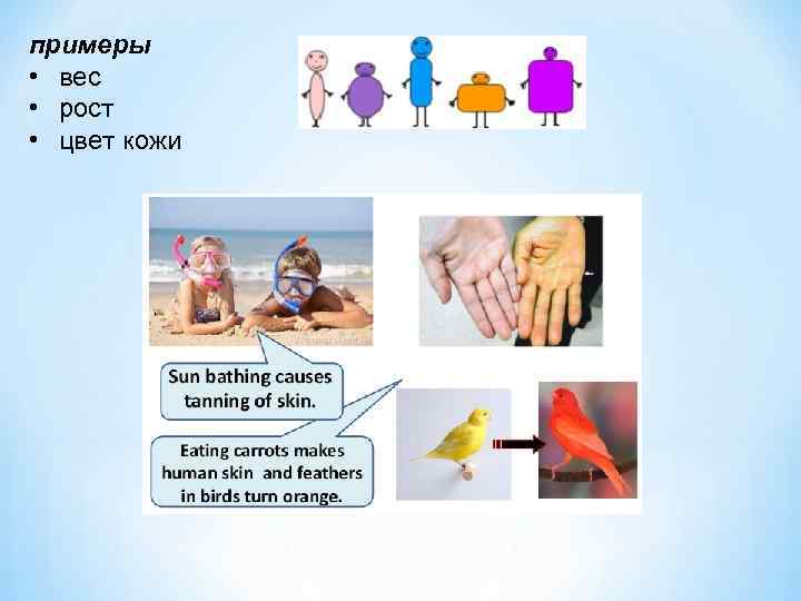 примеры • вес • рост • цвет кожи 