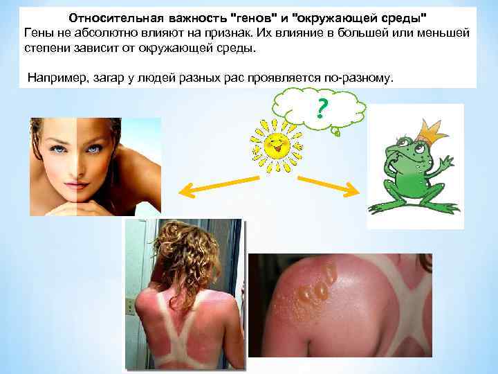 Относительная важность 