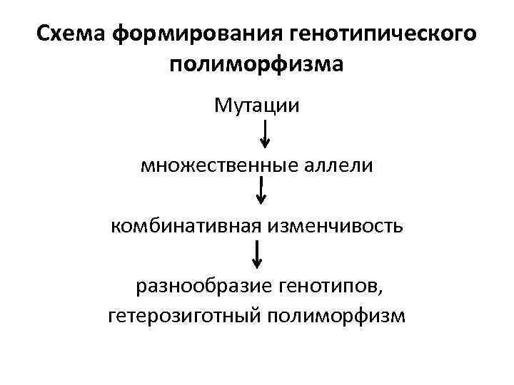 Схема формирования генотипического полиморфизма Мутации множественные аллели комбинативная изменчивость разнообразие генотипов, гетерозиготный полиморфизм 