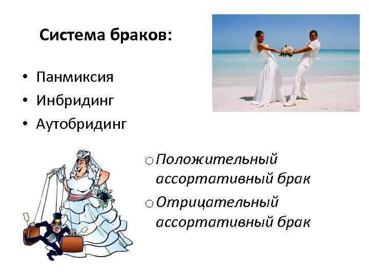 Система браков: • Панмиксия • Инбридинг • Аутобридинг o Положительный ассортативный брак o Отрицательный