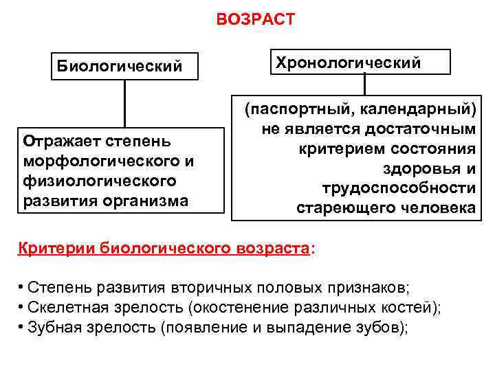 ВОЗРАСТ Биологический Отражает степень морфологического и физиологического развития организма Хронологический (паспортный, календарный) не является