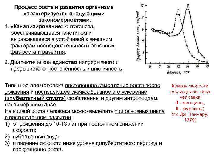 Процессы роста и развития. Какие процессы обеспечивают рост организма. Процессы развития организма характеризуются. Кривая роста организма. Какие процессы обеспечивают рост тела.