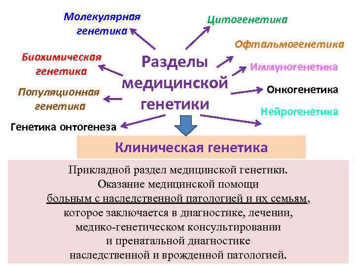 Биохимический метод генетики презентация