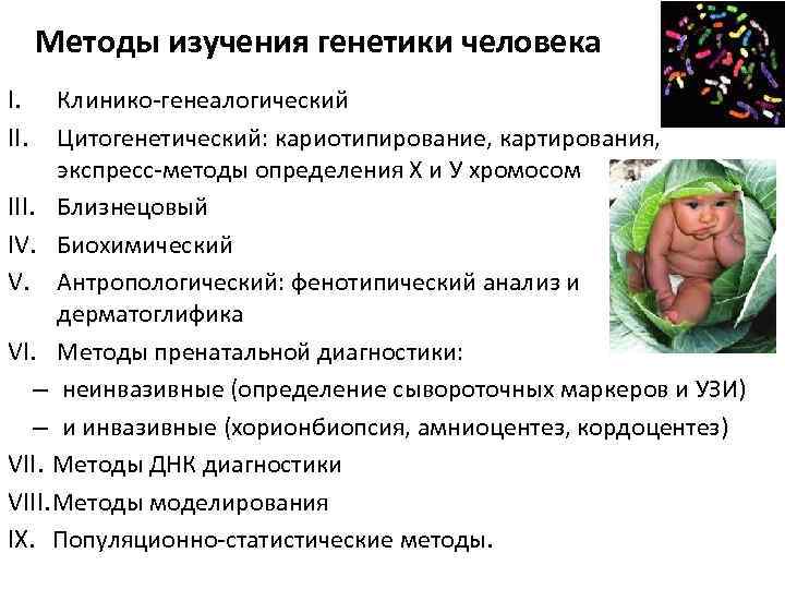 Методы изучения генетики человека I. II. Клинико-генеалогический Цитогенетический: кариотипирование, картирования, экспресс-методы определения Х и