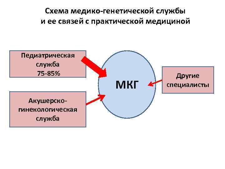 Схема медико-генетической службы и ее связей с практической медициной Педиатрическая служба 75 -85% Акушерскогинекологическая