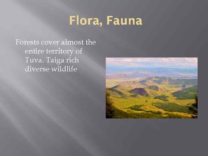 Flora, Fauna Forests cover almost the entire territory of Tuva. Taiga rich diverse wildlife