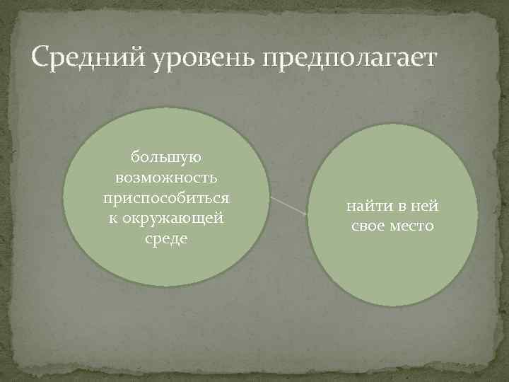 Средний уровень предполагает большую возможность приспособиться к окружающей среде найти в ней свое место