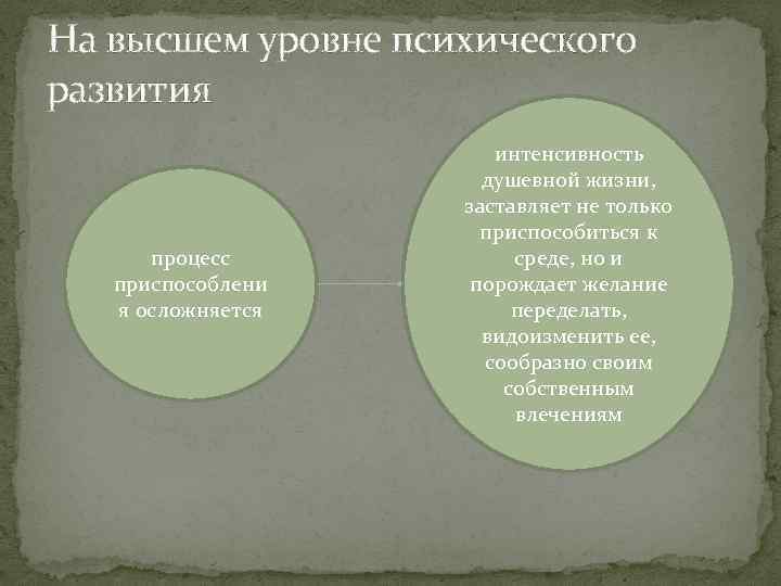 На высшем уровне психического развития процесс приспособлени я осложняется интенсивность душевной жизни, заставляет не