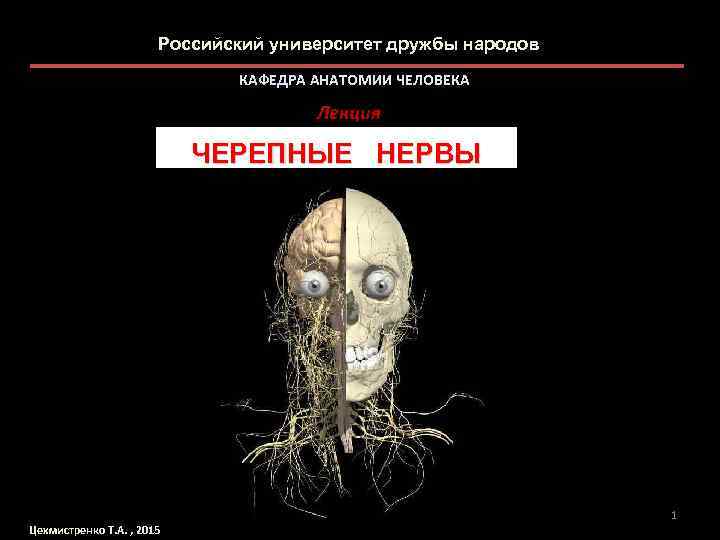 Российский университет дружбы народов КАФЕДРА АНАТОМИИ ЧЕЛОВЕКА Лекция ЧЕРЕПНЫЕ НЕРВЫ 1 Цехмистренко Т. А.