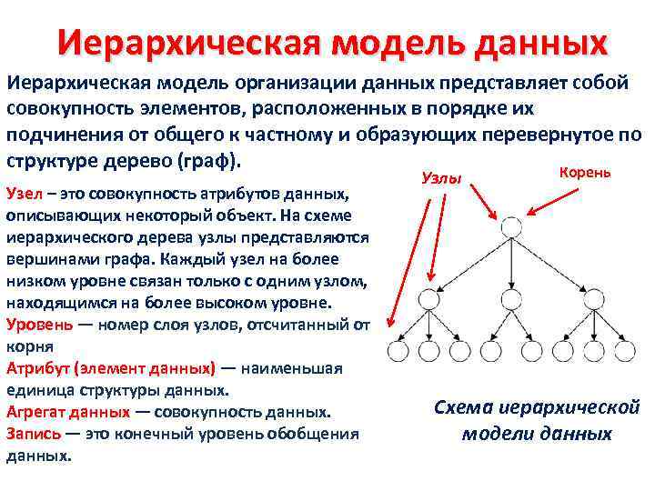 Графической моделью иерархической системы является сеть