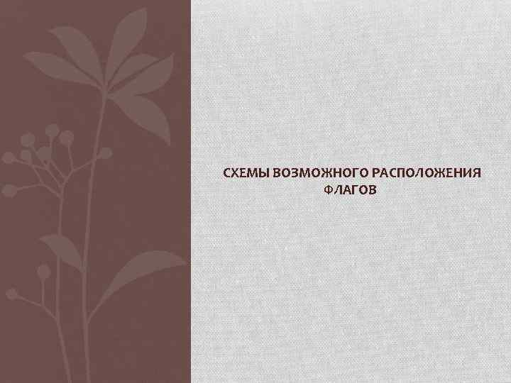 СХЕМЫ ВОЗМОЖНОГО РАСПОЛОЖЕНИЯ ФЛАГОВ 