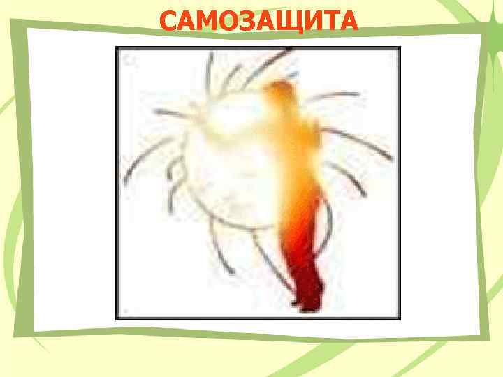 САМОЗАЩИТА 
