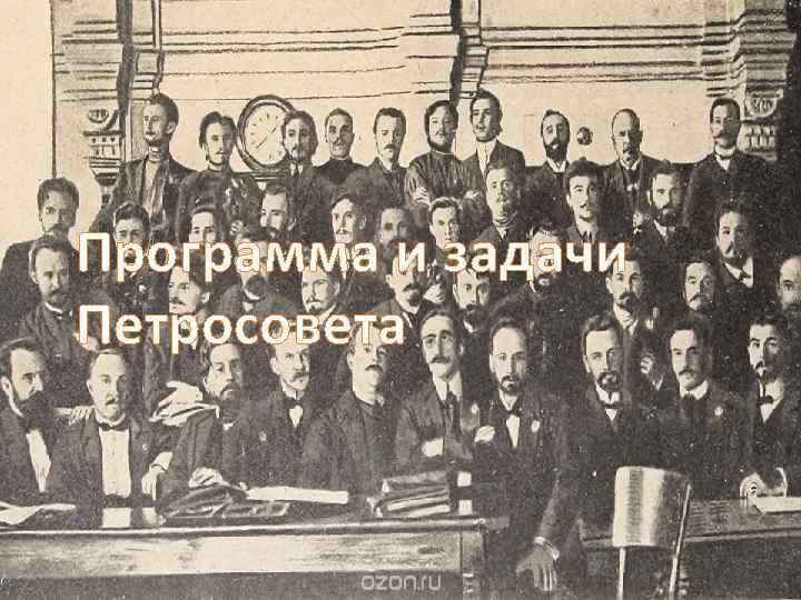 Программа и задачи Петросовета 