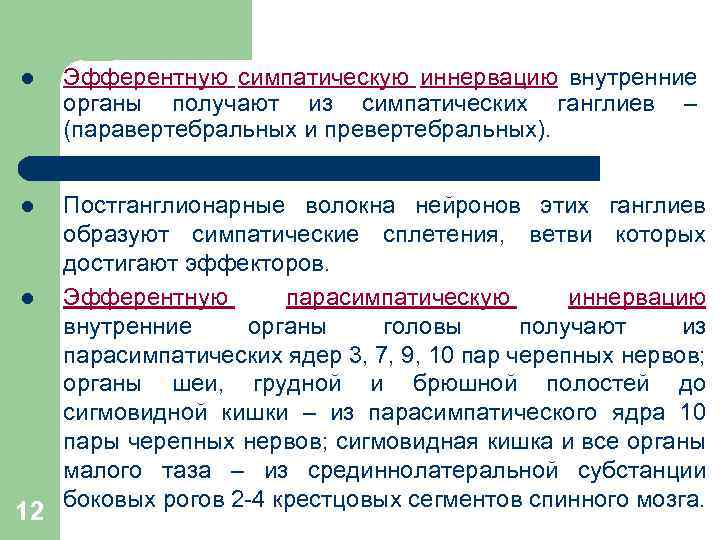 l Эфферентную симпатическую иннервацию внутренние органы получают из симпатических ганглиев – (паравертебральных и превертебральных).
