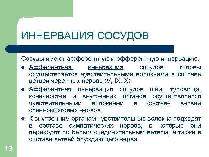 ИННЕРВАЦИЯ СОСУДОВ Сосуды имеют афферентную и эфферентную иннервацию. l Афферентная иннервация сосудов головы осуществляется