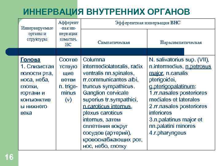 ИННЕРВАЦИЯ ВНУТРЕННИХ ОРГАНОВ Иннервируемые органы и структуры Афферент -ная иннервация соматич. НС Эфферентная иннервация