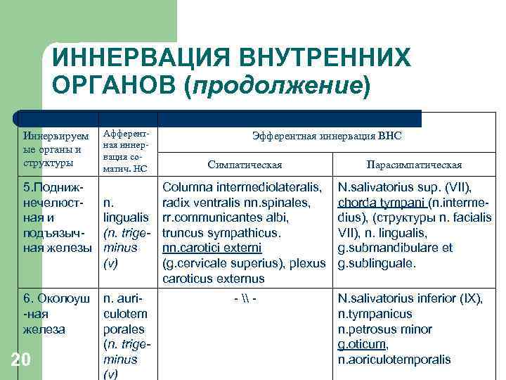 ИННЕРВАЦИЯ ВНУТРЕННИХ ОРГАНОВ (продолжение) Иннервируем ые органы и структуры Афферентная иннервация соматич. НС 5.