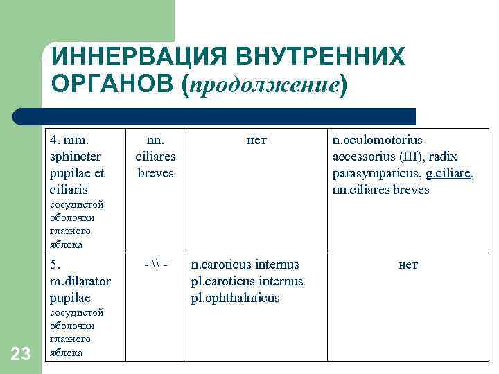 ИННЕРВАЦИЯ ВНУТРЕННИХ ОРГАНОВ (продолжение) 4. mm. sphincter pupilae et ciliaris nn. ciliares breves нет