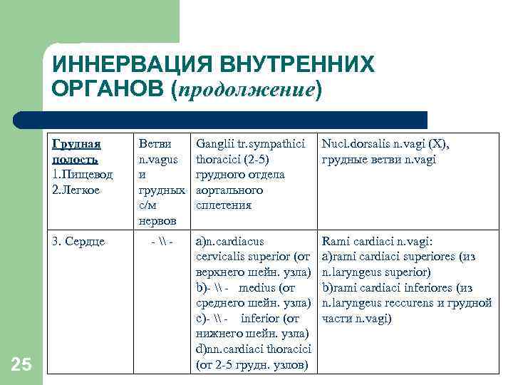 ИННЕРВАЦИЯ ВНУТРЕННИХ ОРГАНОВ (продолжение) Грудная полость 1. Пищевод 2. Легкое 3. Сердце 25 Ветви