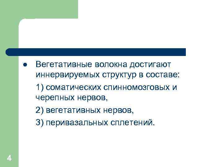 l 4 Вегетативные волокна достигают иннервируемых структур в составе: 1) соматических спинномозговых и черепных