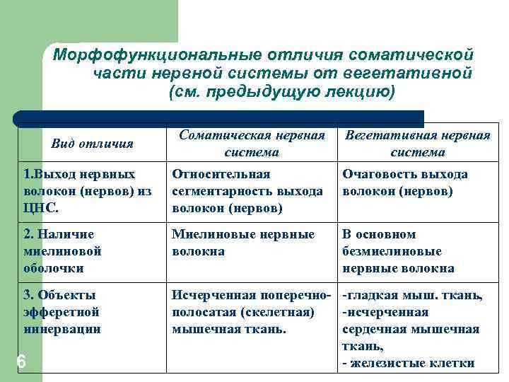 Морфофункциональные отличия соматической части нервной системы от вегетативной (см. предыдущую лекцию) Вид отличия Соматическая